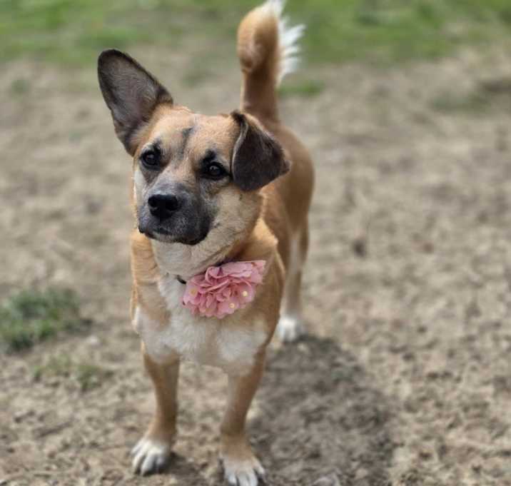 Photo of Tanzie