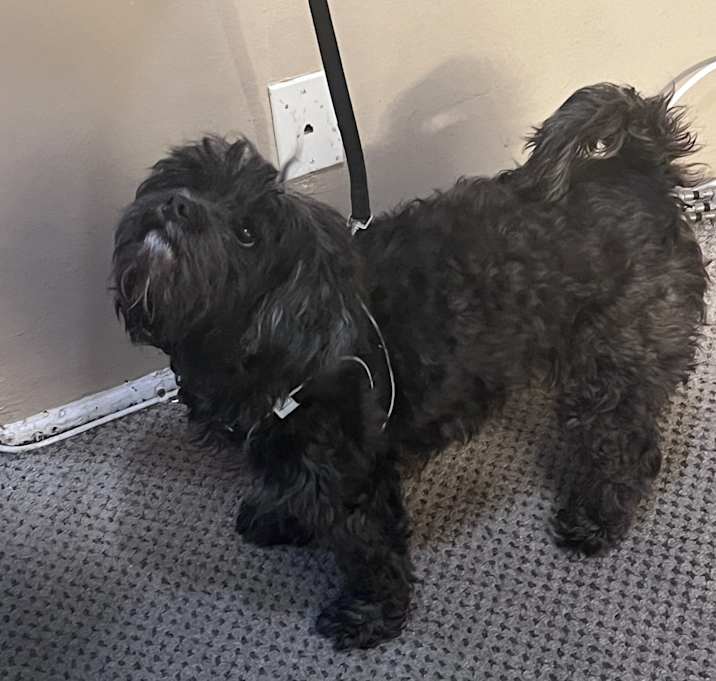 Photo of Jack