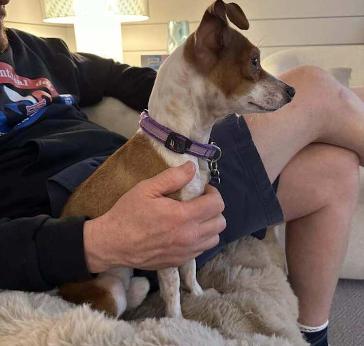 Photo of Joey