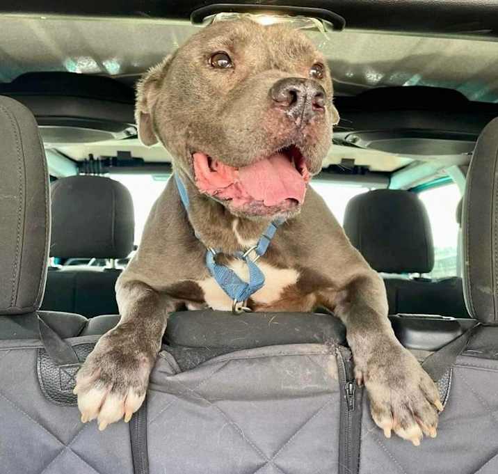 Photo of Ajax