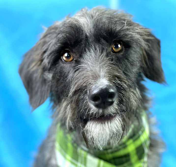 Photo of Charlie