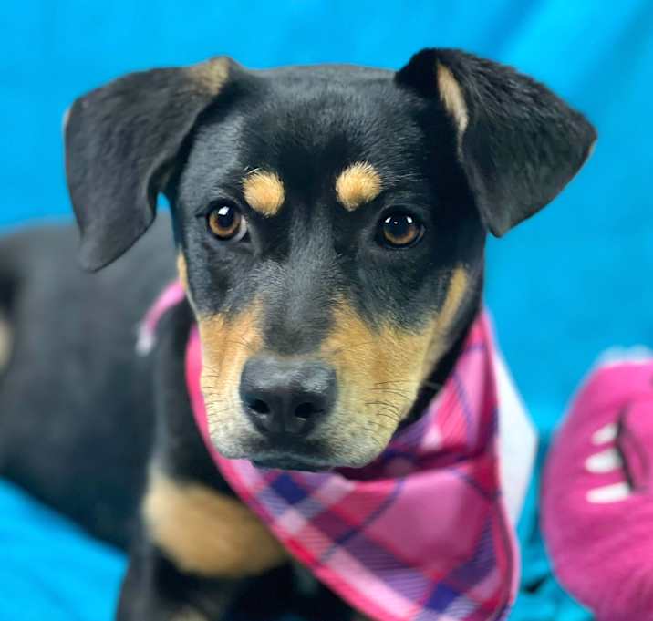Photo of Gretta
