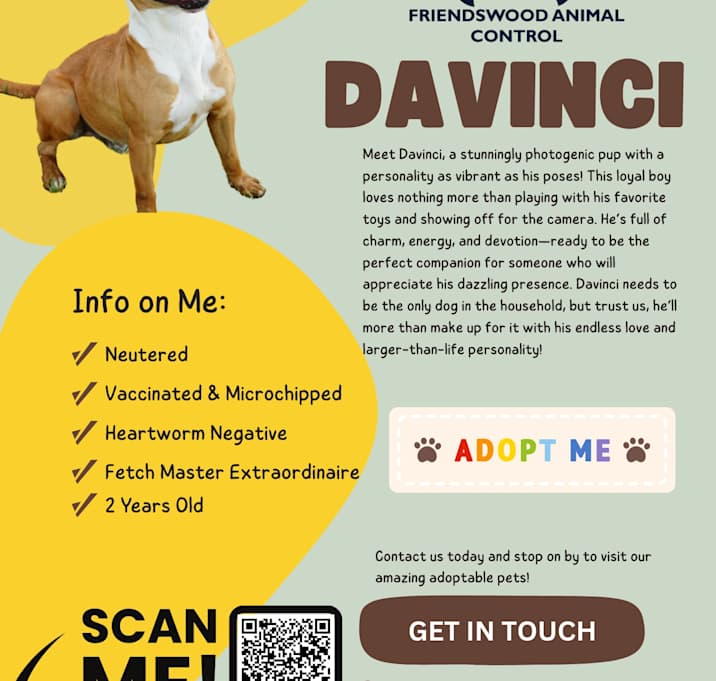 Photo of Davinci