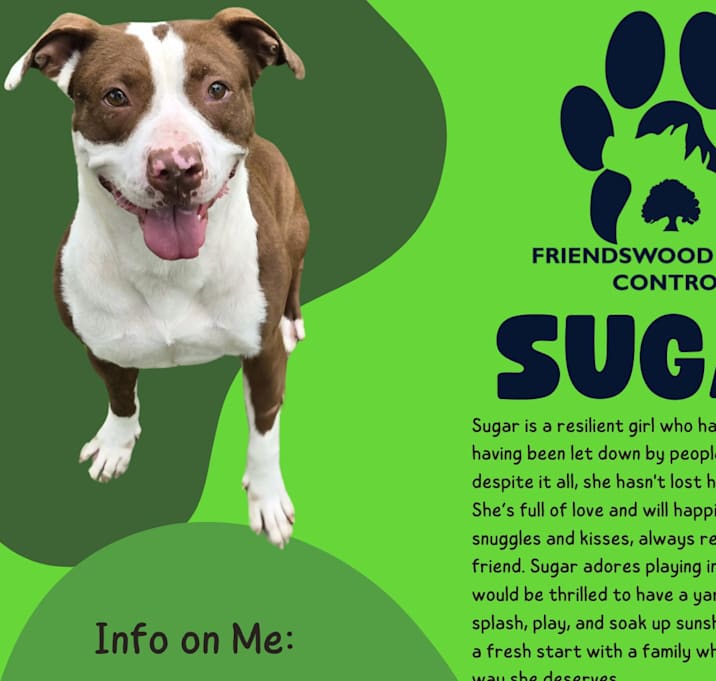 Photo of Sugar