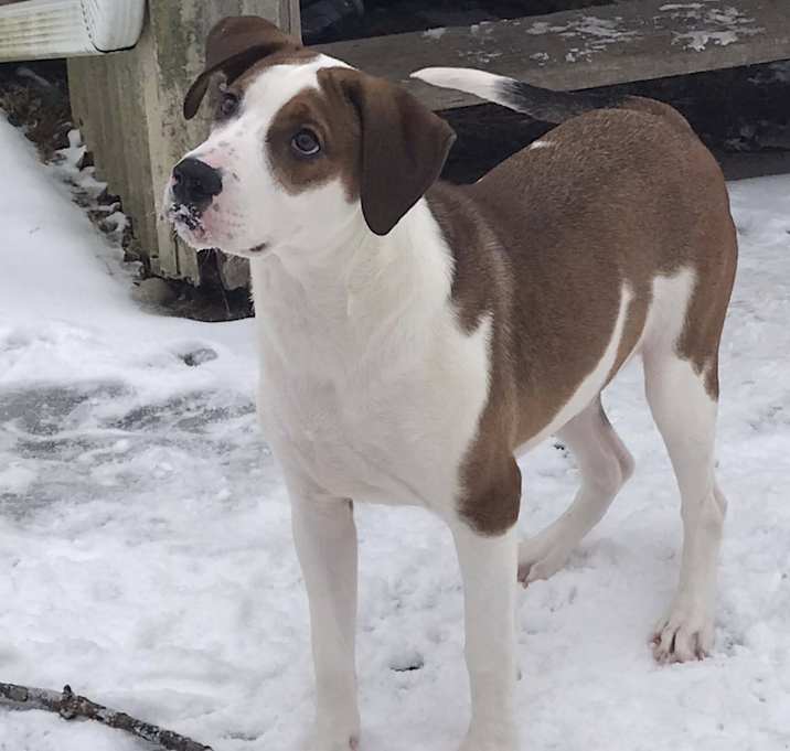 Photo of Tank