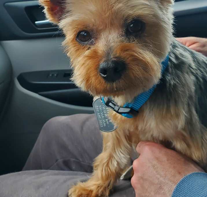 Photo of Theodore ***Deaf***