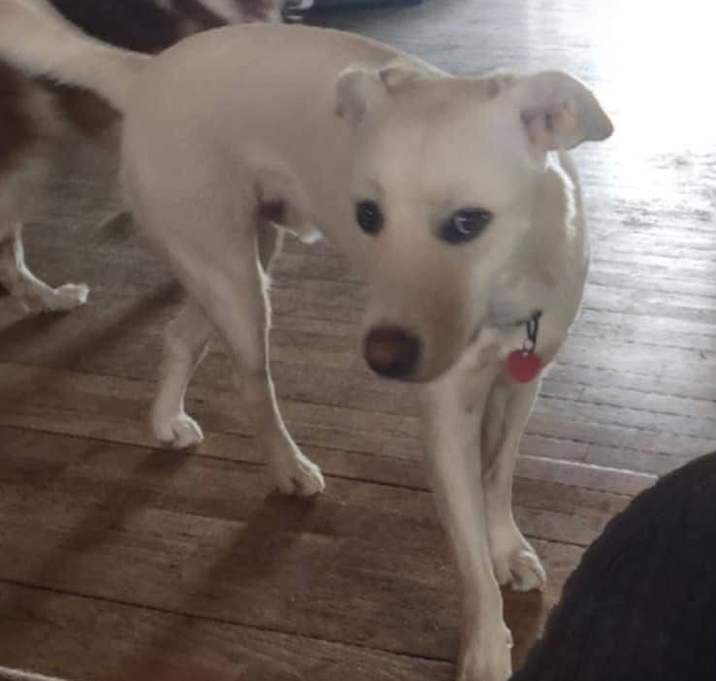 Photo of Charlie