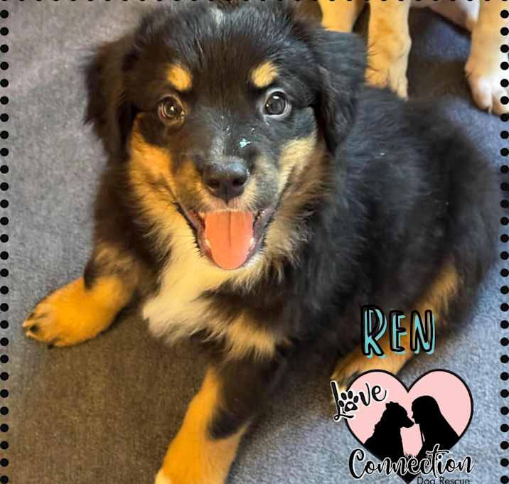 Photo of Ren
