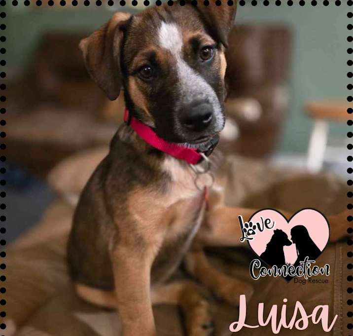 Photo of Luisa