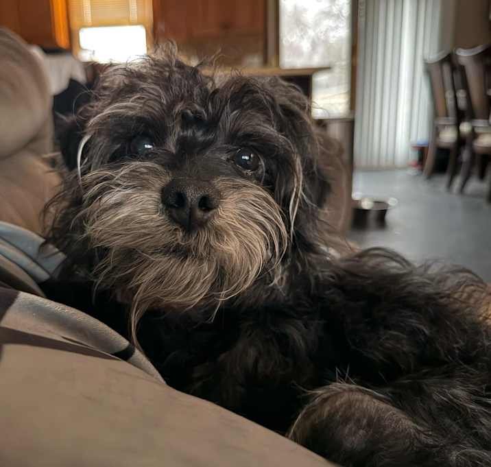 Photo of Rylo
