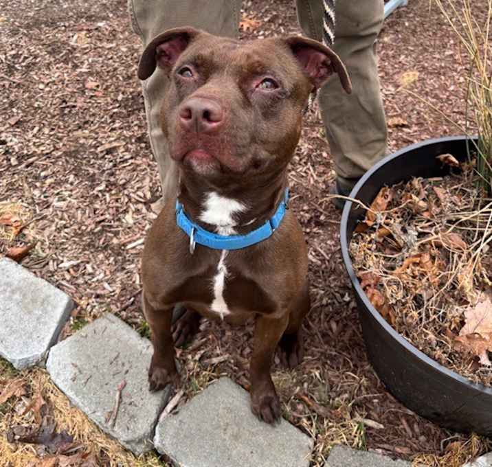 Photo of Oso