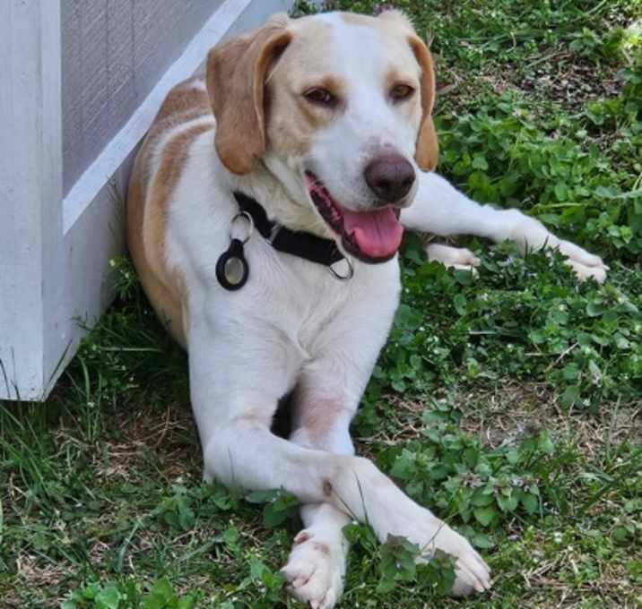 Photo of Winston