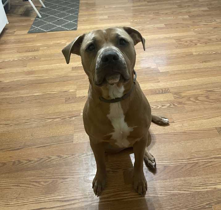 Photo of Star