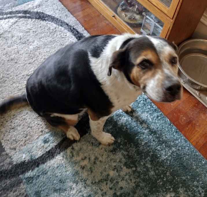 Photo of Jasmine