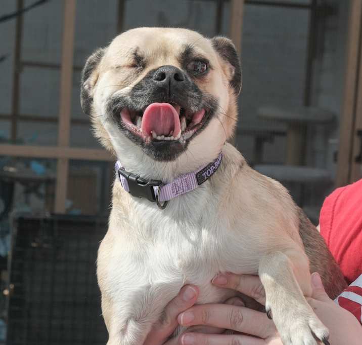 Photo of Layla