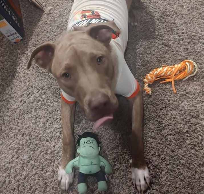Photo of Oscar