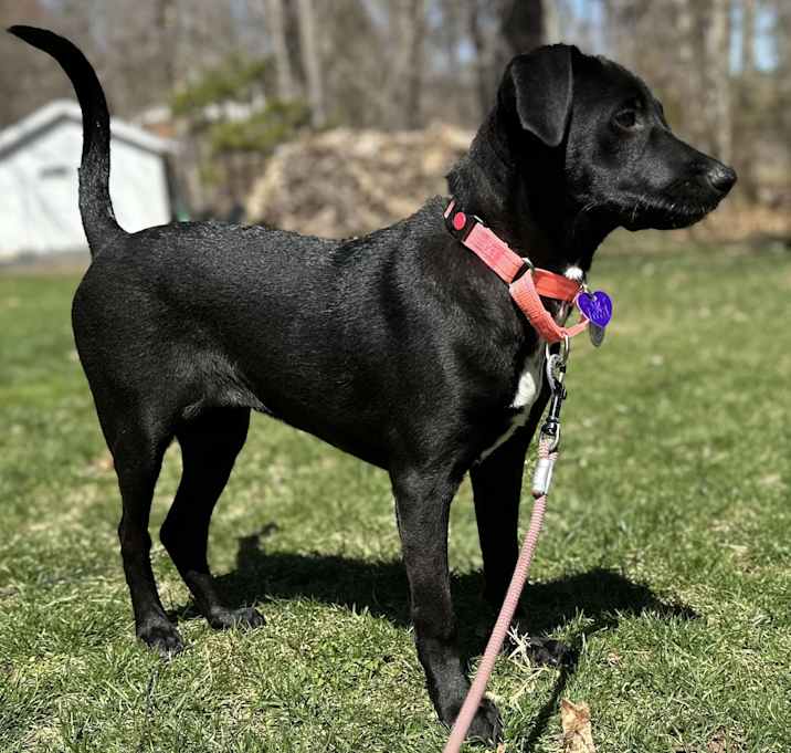 Photo of Kaylee