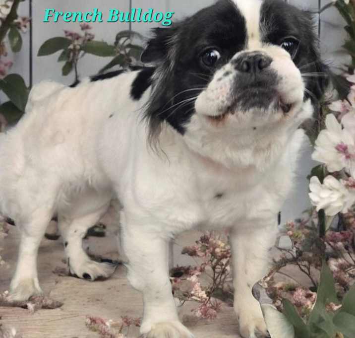 Photo of Camile