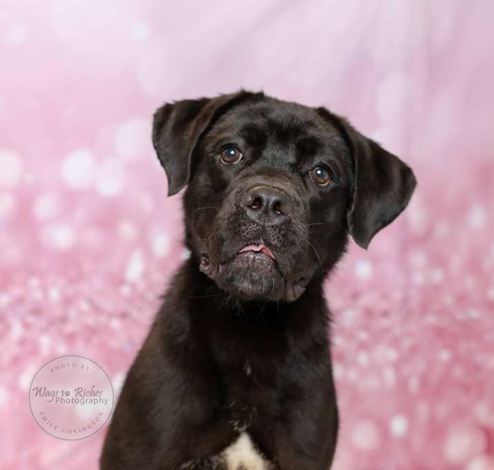 Photo of Tiana