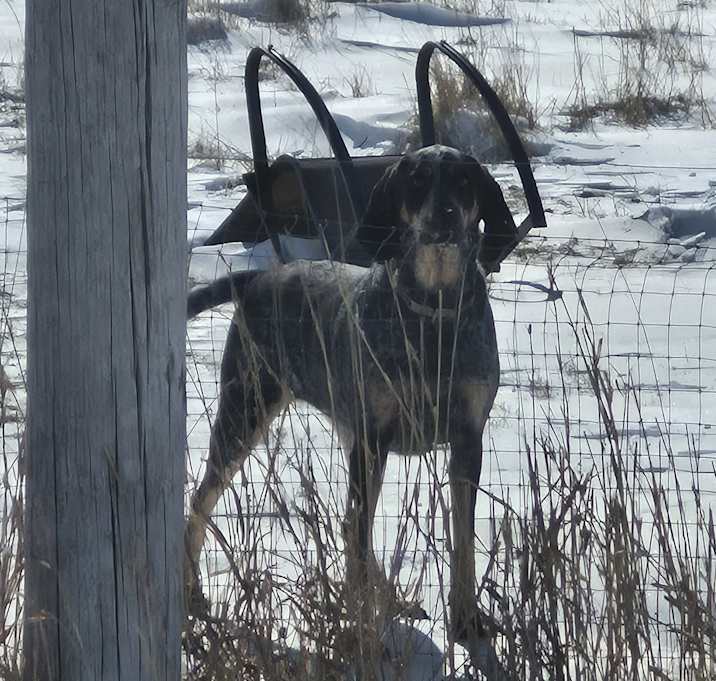 Photo of Maggy