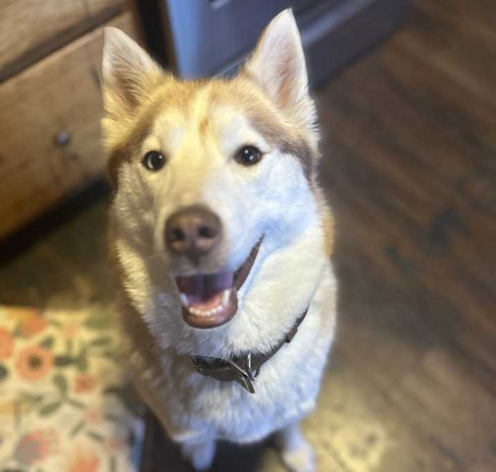 Photo of Ponyo