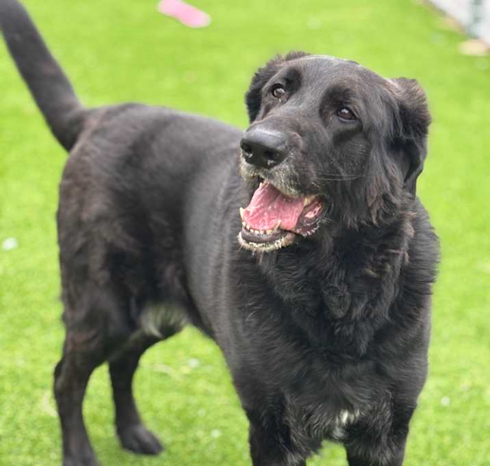 Photo of Kylo
