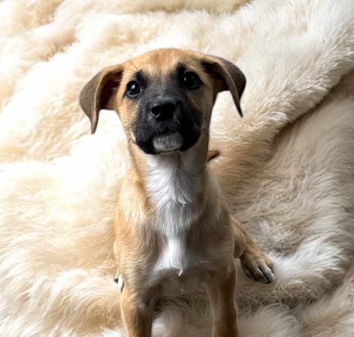 Photo of Selah