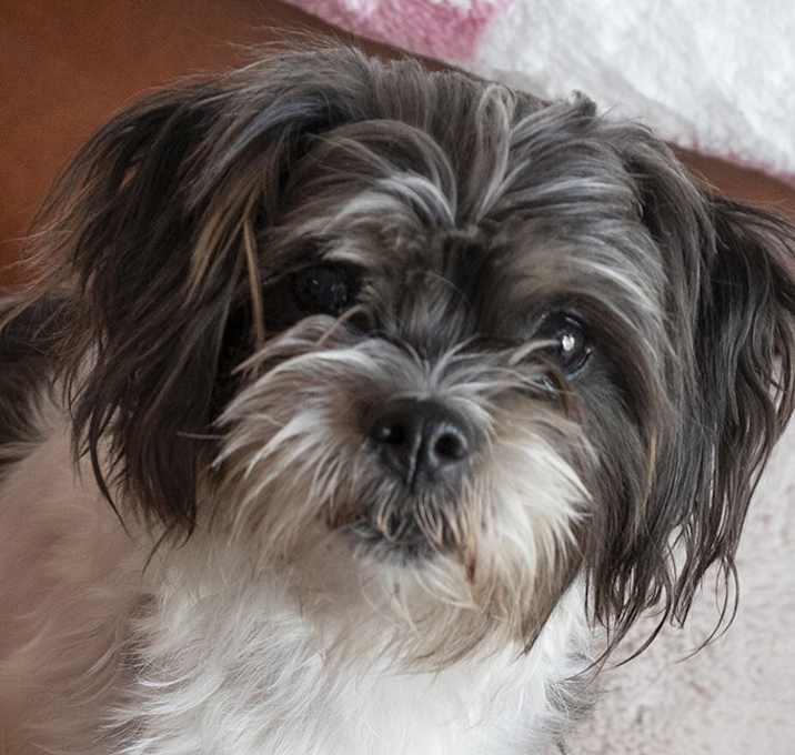Photo of Delilah