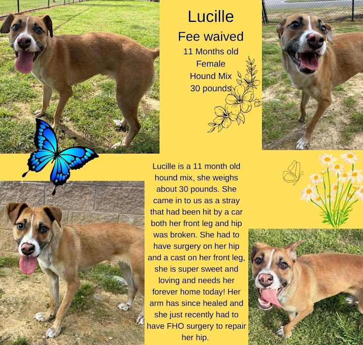 Photo of Lucille