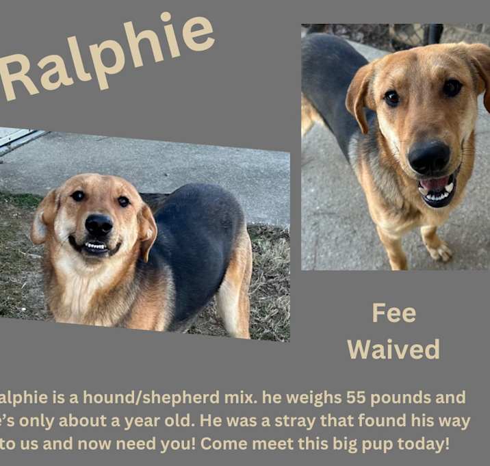 Photo of Ralphie