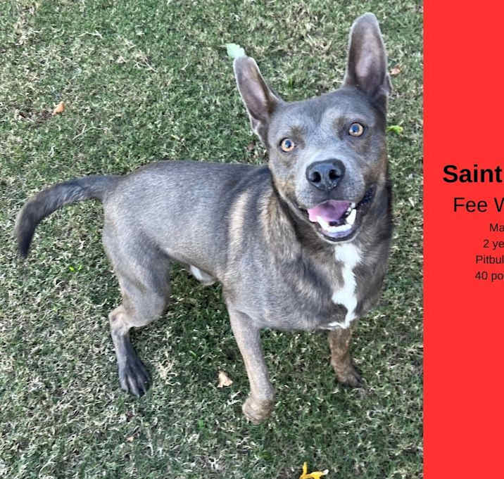 Photo of Saint Nick