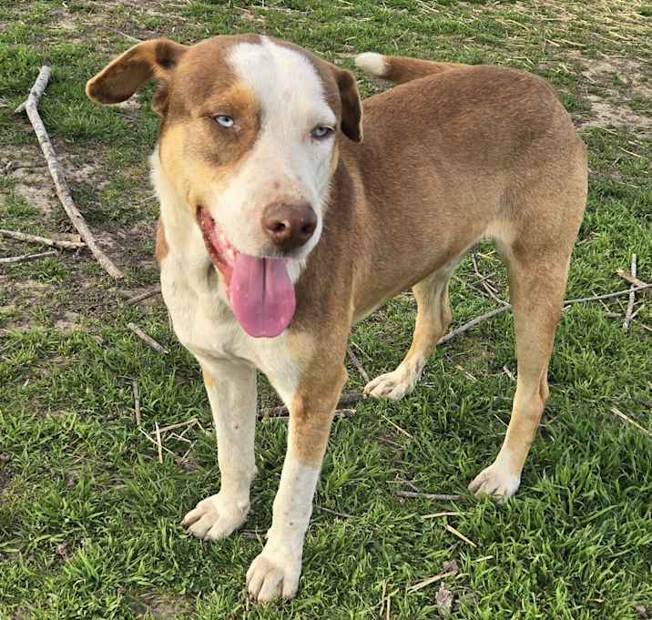 Photo of Floyd