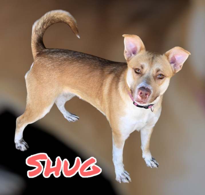 Photo of SHUG