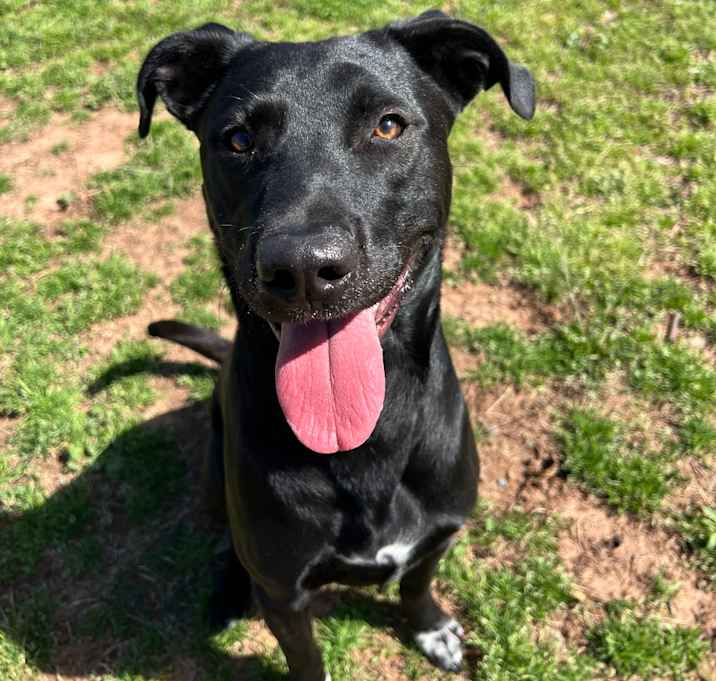 Photo of Brody