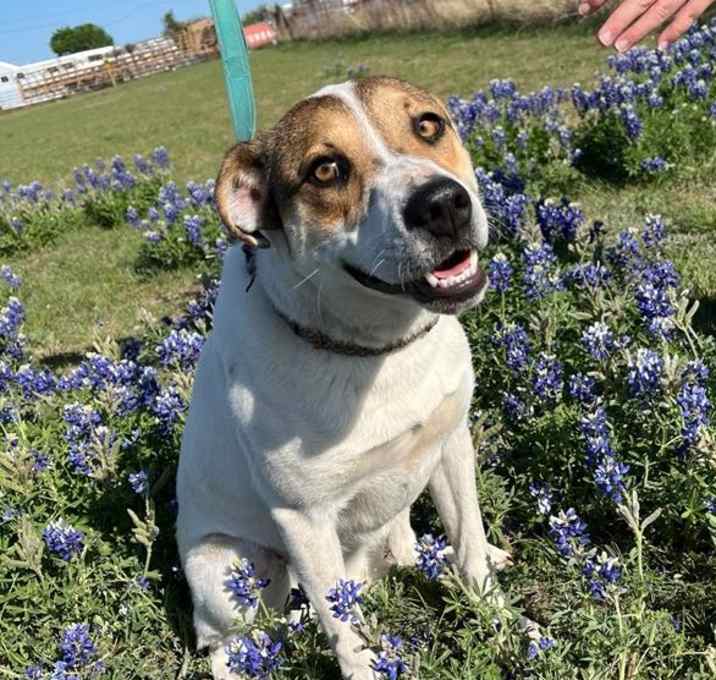 Photo of Kimber