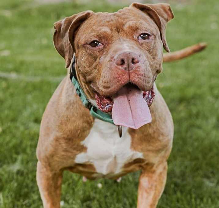 Photo of Coco
