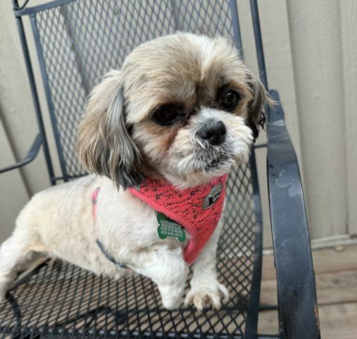 Photo of Phyllis