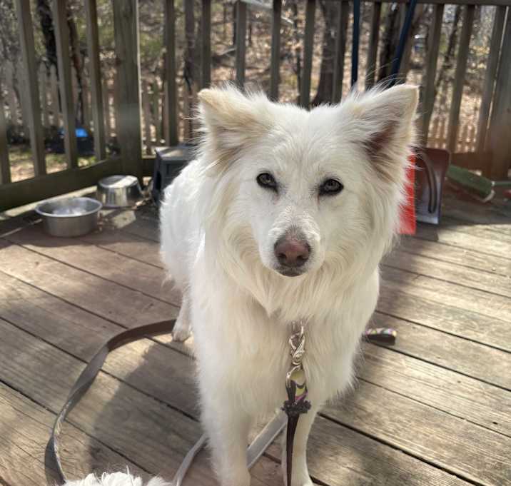 Photo of Phoebe