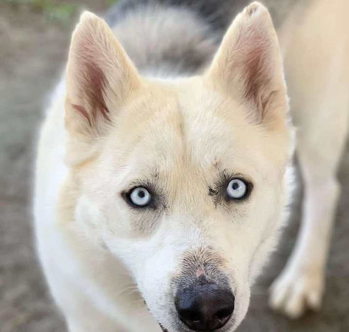 Photo of Kai