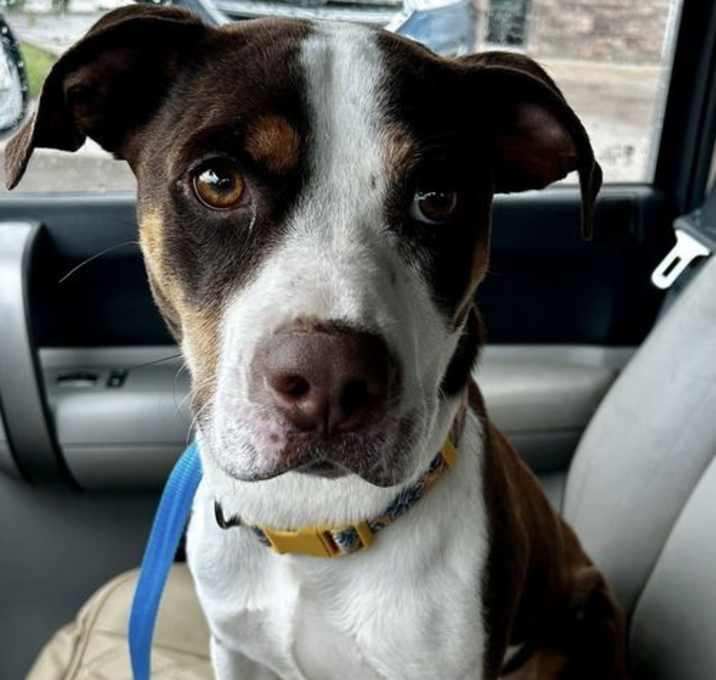 Photo of Sentry