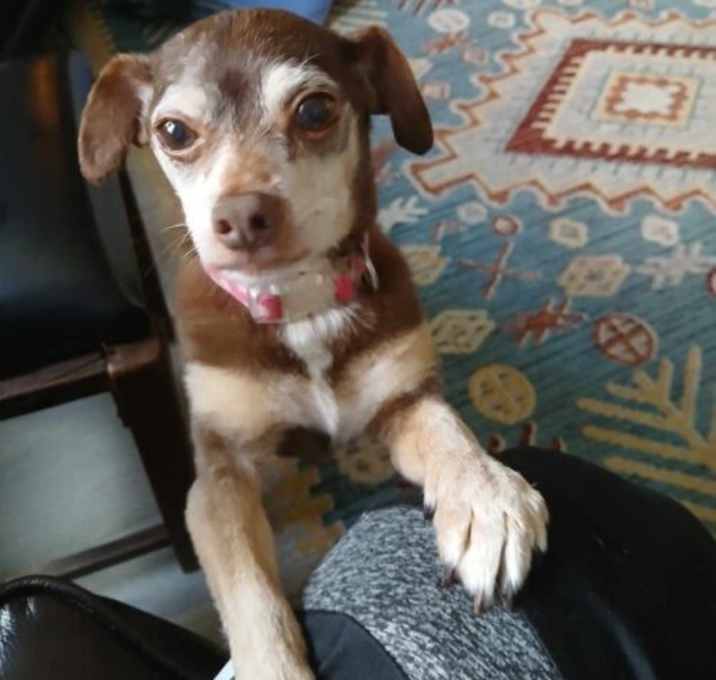 Photo of Senya