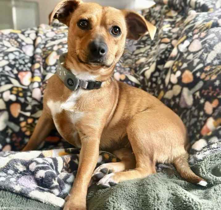 Photo of Maxine
