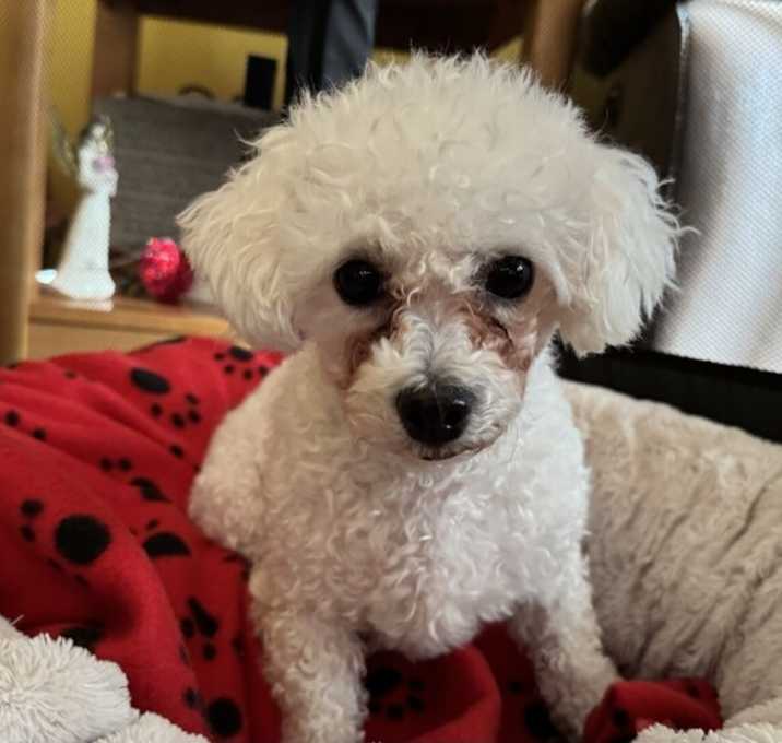 Photo of Fiona