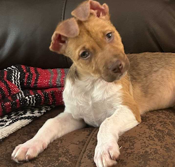 Photo of Allie