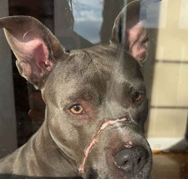 Photo of Skye