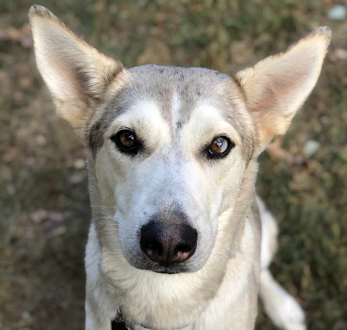 Photo of Kyra