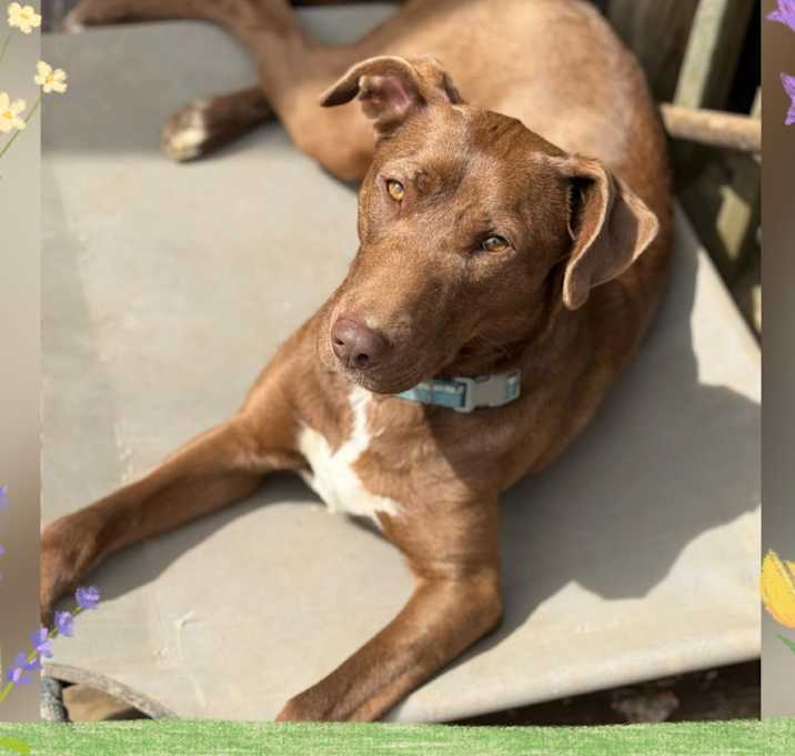 Photo of Maya
