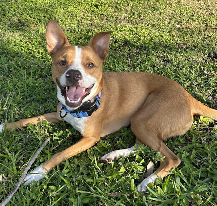 Photo of Ernest