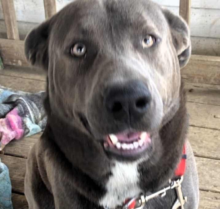 Photo of Ghost