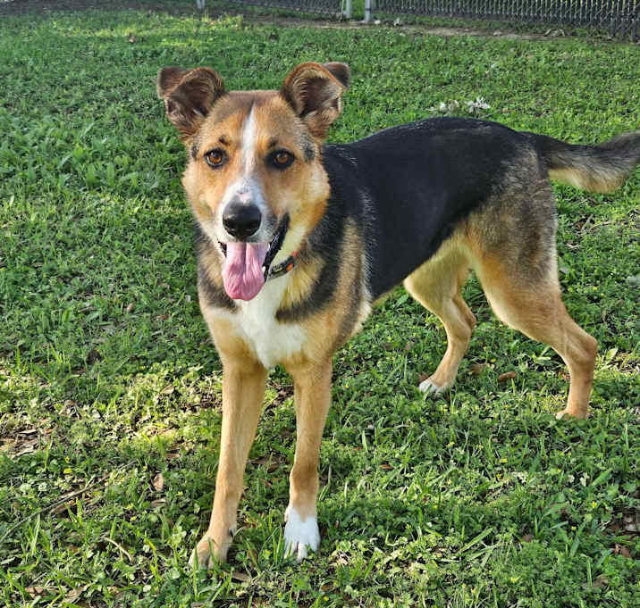 Photo of Captain